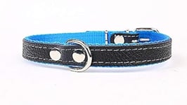 Capadi Collier pour Chien Souple et Solide en Cuir véritable Bleu Largeur 40 mm Longueur 55 cm