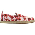 Espadrilles Toms  Chaussures pour femmes