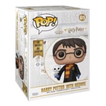 Funko POP! Harry Potter - Harry Potter with Hedwig