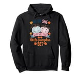 He or She What Will Our Little Pumpkin Be Halloween Gender Pullover Hoodie