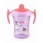 Nuk Tasse d'apprentissage Evolution ROSE