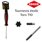 Tournevis étoile torx T10