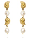 Caroline Svedbom Shell Pearl Earrings Guld