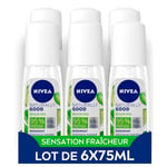 NIVEA NATURALLY GOOD Déodorant Femme Aloe Vera Bio spray (lot de 6 x 75ml), déodorant spray avec 95% d’ingrédients d’origine naturelle, spray vaporisateur fraîcheur 24h