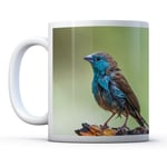 Blue Breasted Cordon - Drinks Mug Cup Kitchen Birthday Office Fun Gift #12384