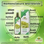 Amla Fruit Juice 500ml Indian Gooseberry , Full of Vitamin C