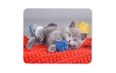 Smokey Grey Kitten Mouse Mat Pad - Cute Blue Cat Kitty Pet Computer Gift #15984