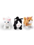 Happy Pets Pretty Little Kitty 3 - lajitelma 1 kpl