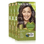 Naturtint Biobased | Coloration sans ammoniaque | Couverture à 100% des cheveux blancs | Ingrédients végétaux | Couleur naturelle et durable | 5N Châtain Clair | Lot de 3