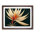 The Bird Of Paradise Flower Vol.4 H1022 Framed Print for Living Room Bedroom Home Office Décor, Wall Art Picture Ready to Hang, Walnut A2 Frame (64 x 46 cm)