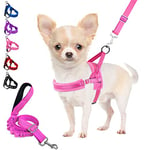 Eyein No Pull Small Dog Harness & Lead, Heavy Duty Easy for Walk Vest Harness Soft Padded Reflective Adjustable Puppy Harness Anti-Twist Pet Lead Quick Fit for Small Dog Cat Animal (xs, pink)