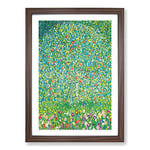 Big Box Art Apple Tree by Gustav Klimt Framed Wall Art Picture Print Ready to Hang, Walnut A2 (62 x 45 cm)