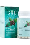 GAL - Peppermint Oil - 60 Capsules