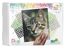 Pixel P090034 Emballage Cadeau mosaïque Chat pour Enfants, Image d'environ 20,3 x 25,4 cm, système d'assemblage Simple avec des tesselles en bioplastique, sans Repassage ni Collage