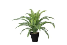 Kunstig Plante Boston Fern 45cm - Potte Svart