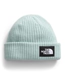 THE NORTH FACE NF0A7WG81OC1 Salty Lined Beanie Hat Unisexe Muted Pine Taille OS