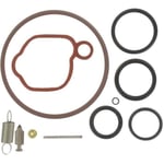 Kit de réparation carburateur adaptable BRIGGS & STRATTON pour modèles 08P502, 093J02, 09P602, 09P702 et autres