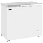 BRAND NEW TEFCOLD GM300SS SMALL SOLID LID CHEST FREEZER STAINLESS STEEL NEXT DAY