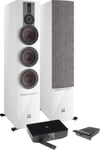 Dali RUBICON 8 C + SOUND HUB BluOS NPM-2i STOCK B - Paire d'enceintes colonne sans fil Wifi