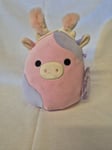 Patty the Cow as Rabbit Squishmallow 7.5" Easter Plush Soft Pink Ears NEW UK