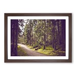 Big Box Art Landscape The Green Forest (3) Framed Wall Art Picture Print Ready to Hang, Walnut A2 (62 x 45 cm)