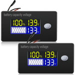 Tlily - VoltmèTre de Capacité Batterie 2 PièCe SéRie avec Alarme et Moniteur TempéRature Externe 0-179 Fahrenheit au Plomb