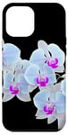 Coque pour iPhone 12 Pro Max Magnifique orchidée Phalaenopsis bleu clair Formes noires Mania