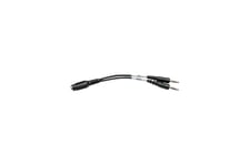 Eaton Tripp Lite Series 3.5 mm 4-Position to 3.5 mm 3-Position Audio Headset Splitter Adapter Cable (F/2xM), 6 in. (15.2 cm) - hörlursdelare - 15 cm