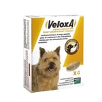 VERMIFUGE CHIEN VELOXA POCHETTE DE 4 COMPRIMÉS À CROQUER CHIENS 10KG ET PLUS