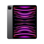 iPad Pro 11" M2 Cellular + WiFi 512 GB - Stellargrå