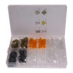 Coffret Assortiment de 300 Clips de Fixation Auto RENAULT