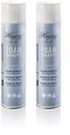 Hagerty Foam Shampoo Mousse nettoyant Textiles I Produit de Nettoyage pour Les Tapis, Les moquettes et Les Tissus délicats I Détachant pour Un Nettoyage Facile et Efficace, Taille Unique (Lot de 2)