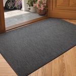 COLOR&GEOMETRY Paillasson Interieur Entree Tapis Entrée Intérieur Antidérapant Tapis de Porte Absorbant Lavable Tapis Tissé pour Intérieur Extérieur, Chambre, Cuisine, Entrée, Couloir (Gris,43x75cm)