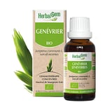 HerbalGem|Genévrier Bio|Macérats-Mères de Gemmothérapie Concentrée|30 ml