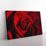 Big Box Art Drops Upon a Red Rose Painting Canvas Wall Art Print Ready to Hang Picture, 76 x 50 cm (30 x 20 Inch), White, Lavender, Grey, Mauve, Pink