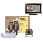 Green Feathers Wireless Transmission Bird Box & Wildlife Camera- Watch Birds, Hedgehogs and more wirelessly on your TV, No Internet Connection Required- Camera Only