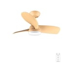 Cecotec - Ventilateur de Plafond avec Lumière EnergySilence Aero 3050 Orange - 35 W, Diamètre 91 cm