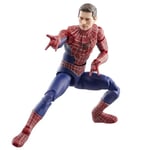 Hasbro Marvel Legends Spider-Man Pas De Way Home Friendly Neighborhood