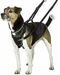 Halti Dog Harness, No Pull Harness For Small Dogs, Stop Dog Pulling On Walks Wi