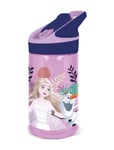 Frost Frozen Premium Water Bottle, 480Ml Lila