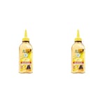 Garnier - Fructis Hair Drink - Soin Lamellaire Instantané Nourrissant Banane - Formule Vegan à 97% d'Ingrédients d'Origine Naturelle - 200 ml (Lot de 2)
