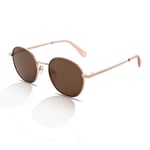 Ted Baker Women's Sunglasses Willa TB1679 401 Rose Gold/Brown