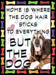 Shawprint Bloodhound Dog Fridge Magnet 100mm x 75mm HOME IS WHERE THE DOG HAIR STICKS TO EVERYTHING BUT THE DOG Novelty Gift