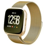 Fitbit Versa      Milanese Loop Strap   Gold