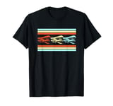 Retro Colorful RC Aircraft Plane Lovers T-Shirt