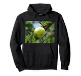 Really Like Amla Fruit Indian Gooseberry Pullover Hoodie