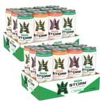 24 X Reign Storm Energy 355 Ml Mixflak