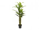 Manufacturer In Review Kunstig Plante Strelitzia 150Cm HP26422611