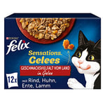 FELIX Sensations Gelées Nourriture Humide pour Chat Mélange de variétés (6 x 12 sachets de 85 g)