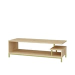 DECOROTIKA - Reilly Modern 120 cm TV Stand and Media Console - TV Unit – 55 inch TV Stand - Colour Options (Gold/Oak)